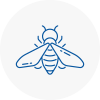 Bee Nest Removal Cumbernauld