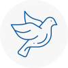 Bird Prevention Cumbernauld