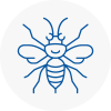 Cumbernauld Hornet Nest Removals