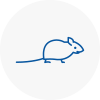 Mice Exterminators In Cumbernauld