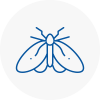 Moth Control Specialists In Cumbernauld