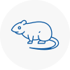 Rat Control Cumbernauld