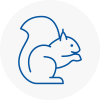 Cumbernauld Rodent Removals
